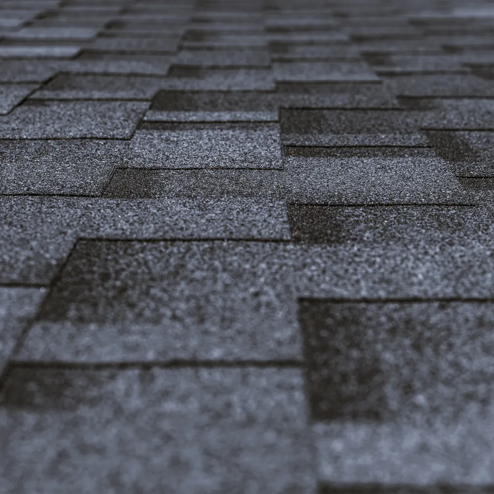 shinglessectie
